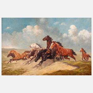 R. Matthes, galoppierende Pferde