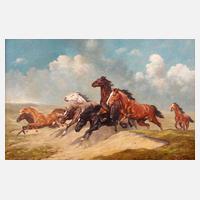 R. Matthes, galoppierende Pferde111