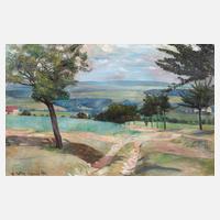 G. Möller, Landschaft bei Weimar111