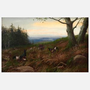 August Mötsch, Balzende Auerhähne