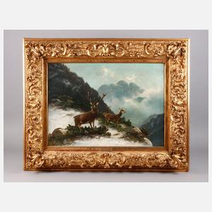 Moritz Müller jun., Hirschwild im Gebirge
