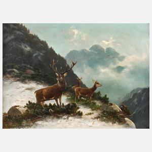 Moritz Müller jun., Hirschwild im Gebirge