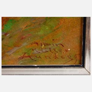 Albin Müller-Rundegg, ”Salzburg mit Salzach”