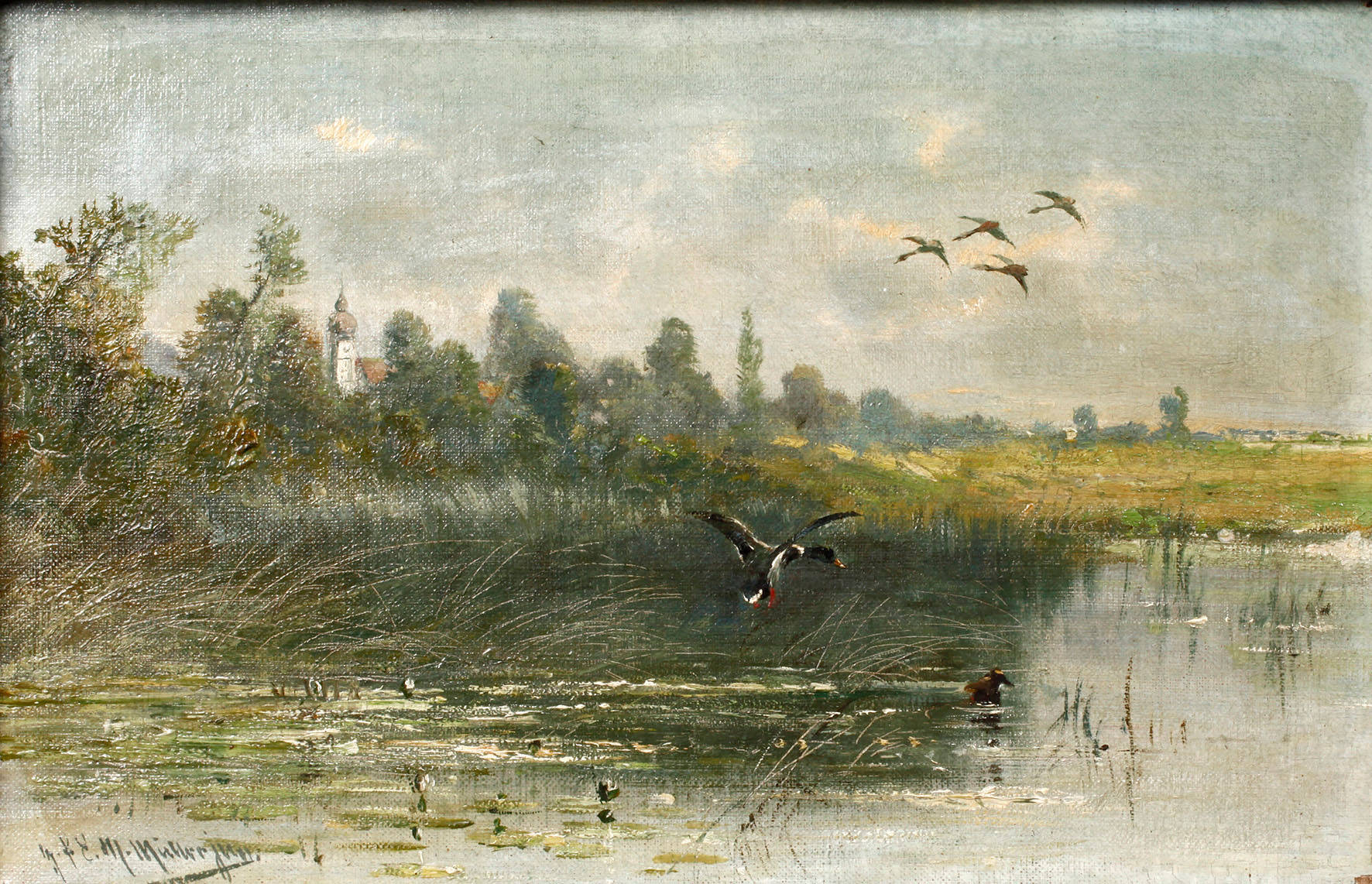 Moritz Müller junior, Auffliegende Enten