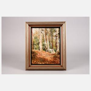 Max Rabes, Buchen bei Schreiberhau