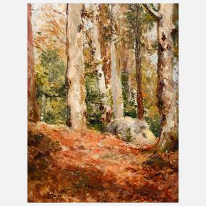 Max Rabes, Buchen bei Schreiberhau