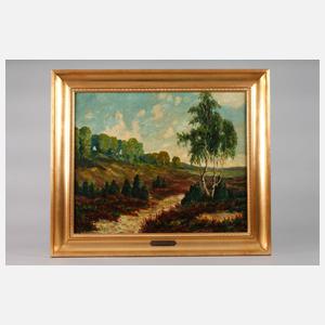 Schiemann, Heidelandschaft