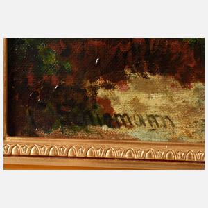 Schiemann, Heidelandschaft