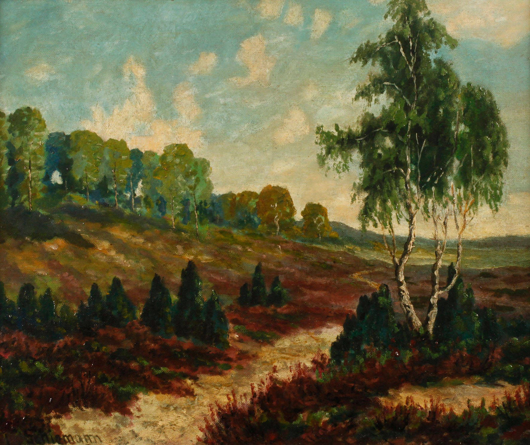 Schiemann, Heidelandschaft