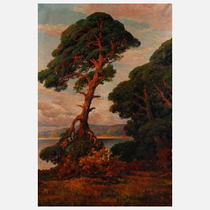 Otto Schmieder, Märkische Landschaft