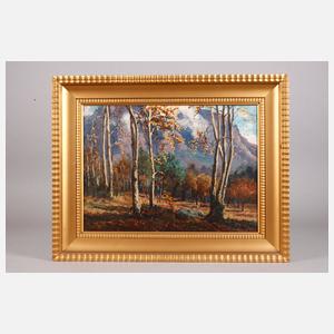 Edith Struben, Herbstliche Waldlandschaft