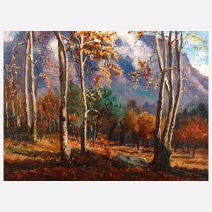 Edith Struben, Herbstliche Waldlandschaft