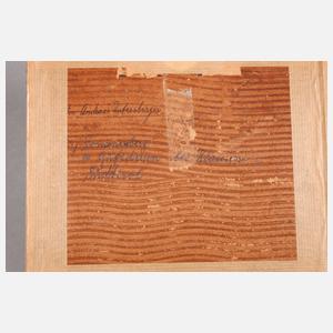 Andreas Untersberger, Ansicht Burg Summersberg