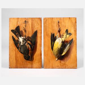 Paar Trompe-l'oeil Vogeldarstellungen