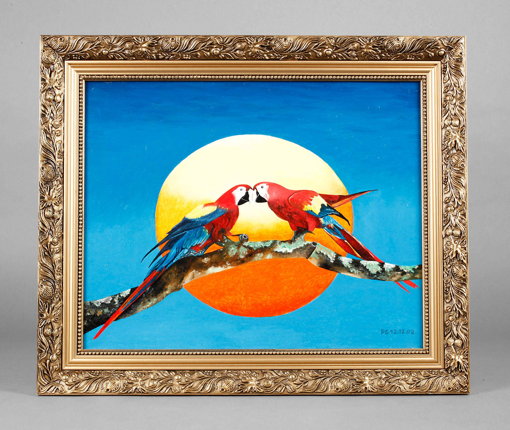 Hellrote Aras vor aufgehender Sonne