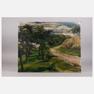 Expressive Landschaft ”Höfenweg”