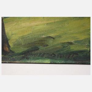 Expressive Landschaft ”Höfenweg”