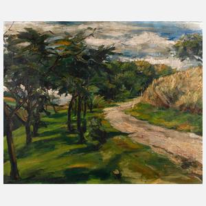 Expressive Landschaft ”Höfenweg”