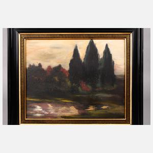 Mystische Sommerlandschaft