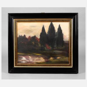 Mystische Sommerlandschaft