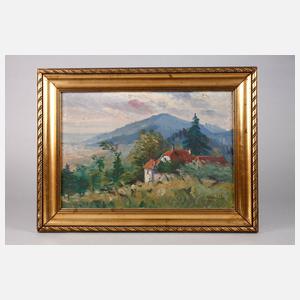 Häuser in bergiger Landschaft