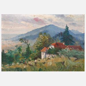 Häuser in bergiger Landschaft