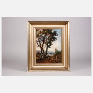 Sommerliche Gebirgslandschaft mit Burg