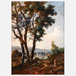 Sommerliche Gebirgslandschaft mit Burg