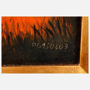 Windmühle im Abendlicht