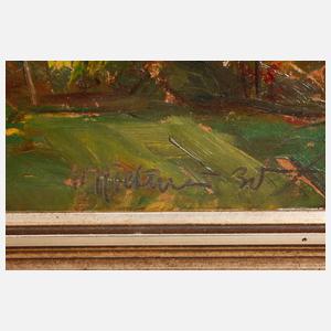 Stadtansicht mit Burg