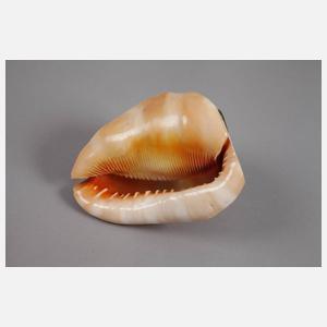 Außergewöhnlicher Lampenschirm