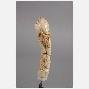 Spazierstockgriff Bein