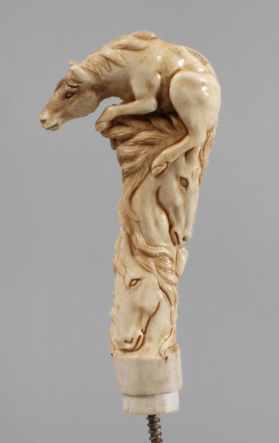 Spazierstockgriff Bein