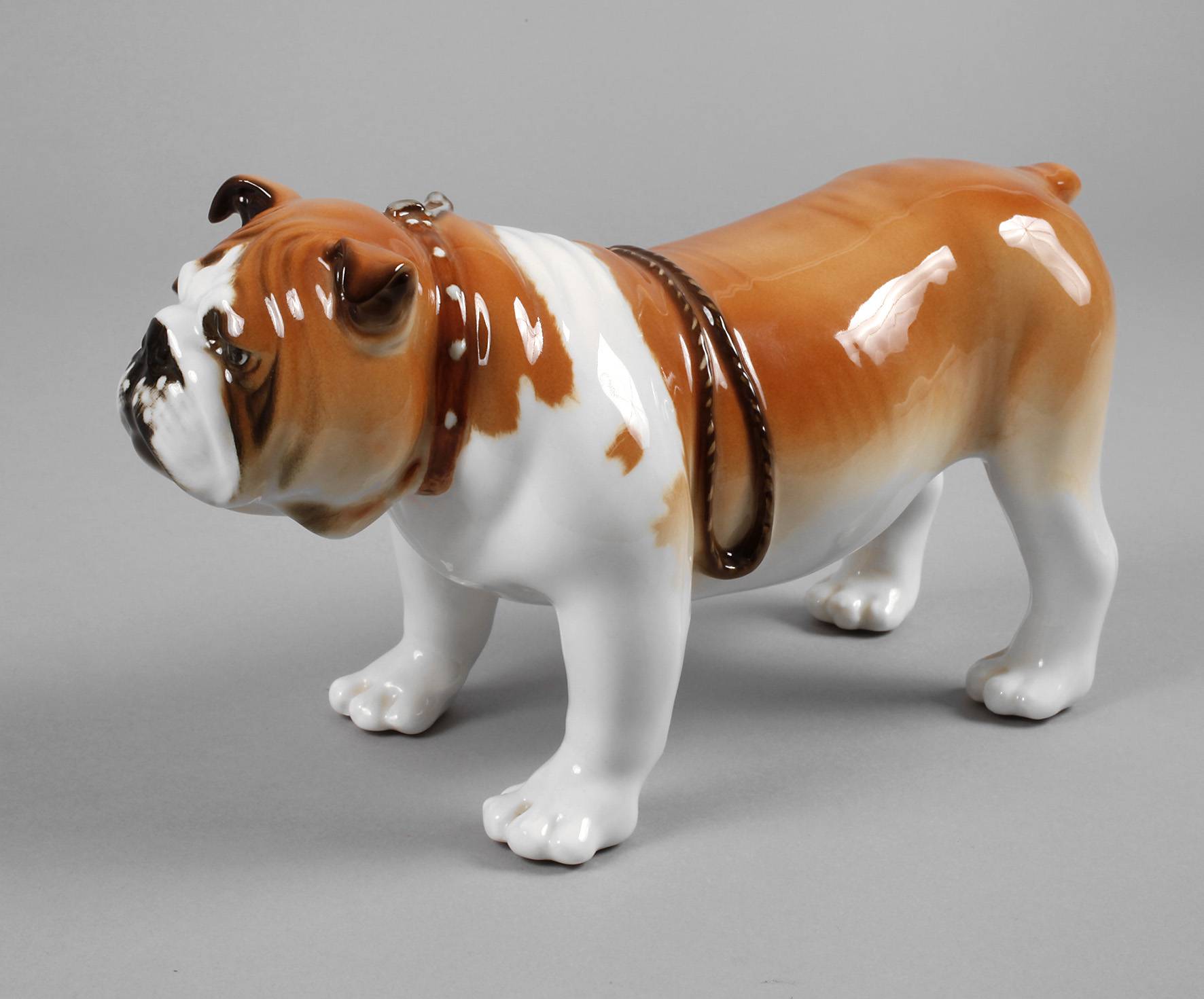 Lomonossow Bulldogge