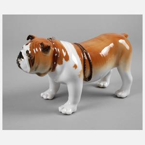 Lomonossow Bulldogge