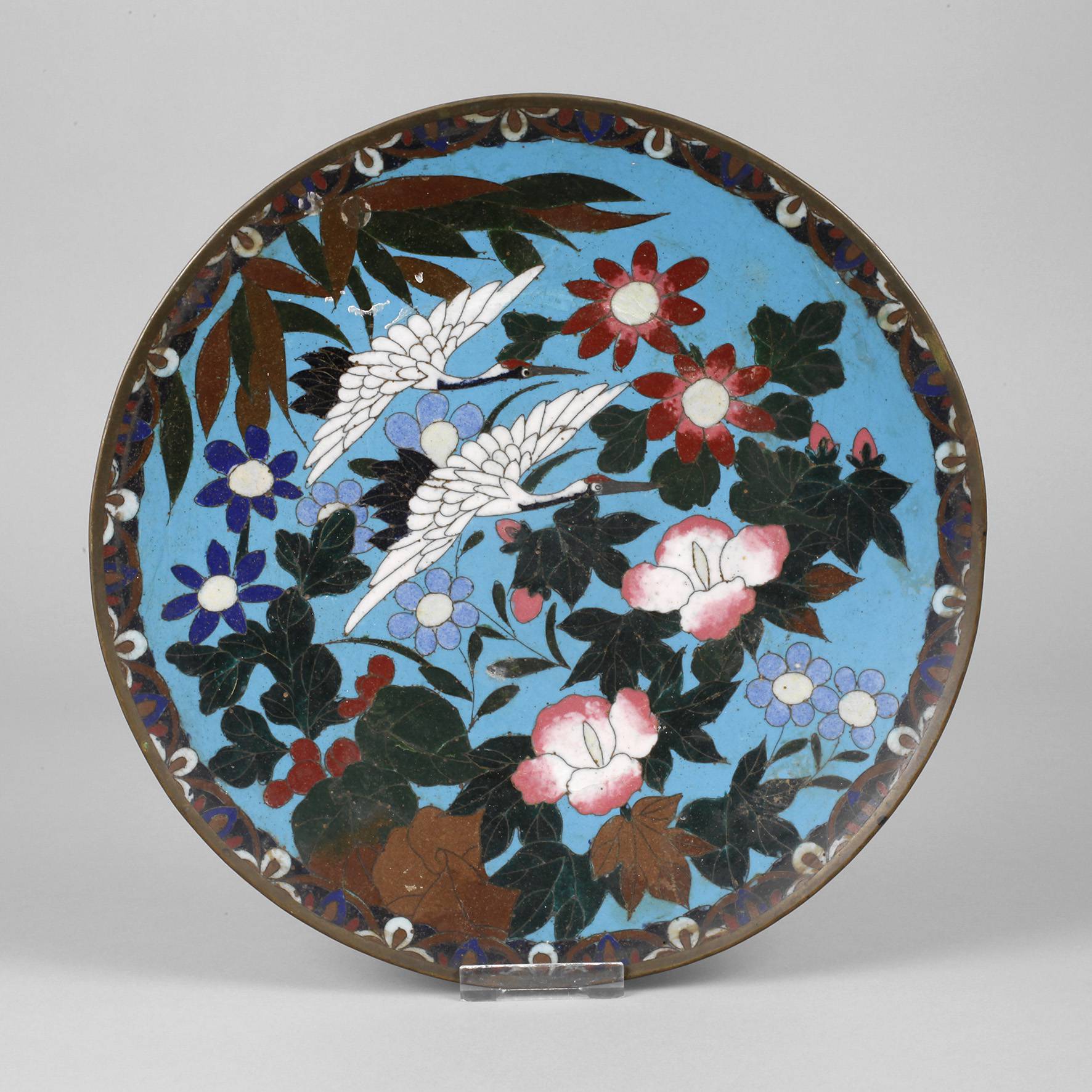 Wandteller Cloisonné