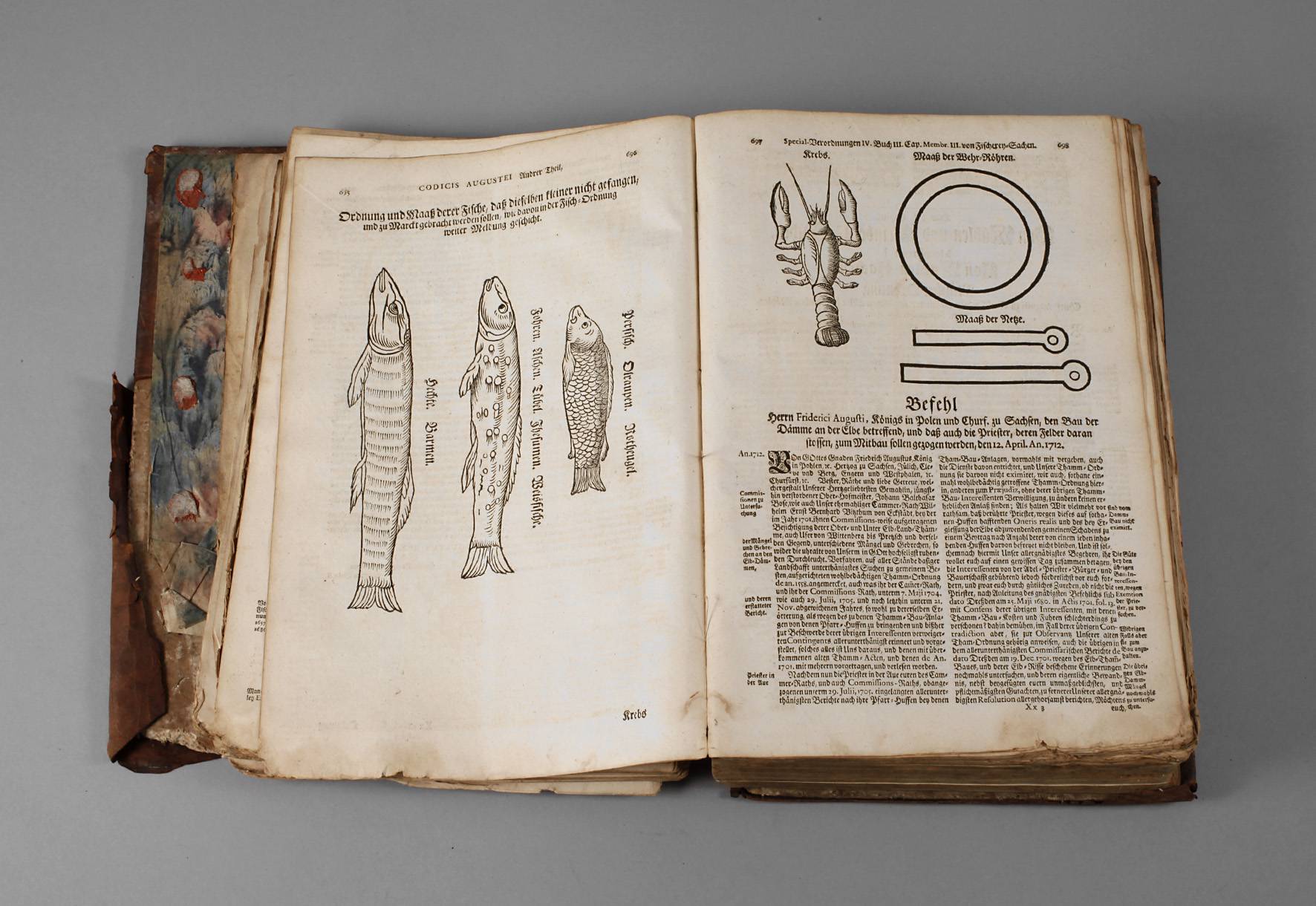 Codex Augusteus (Fortsetzung I)