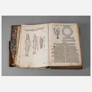 Codex Augusteus (Fortsetzung I)