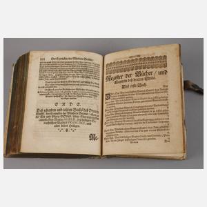 Der Chronicken der Mindern Brüder