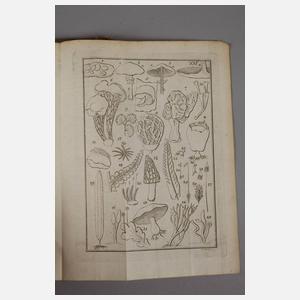 Georg A. Suckow, Anfangsgründe