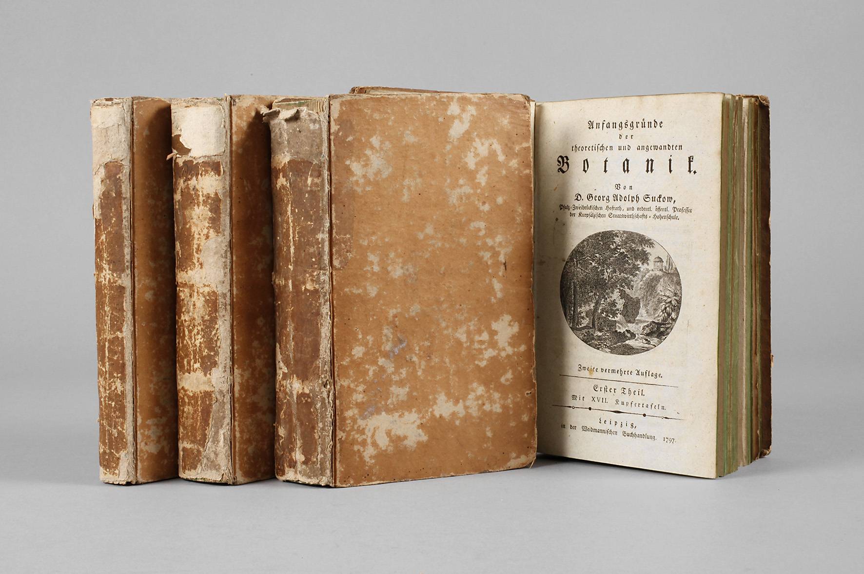 Georg A. Suckow, Anfangsgründe