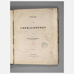 Atlas zu den Cephalopoden