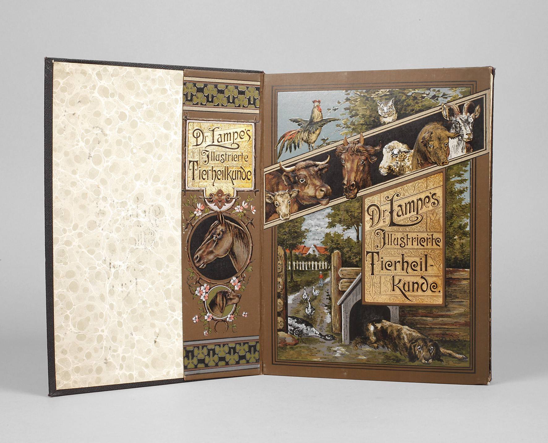 Lampes Illustrierte Tierheilkunde