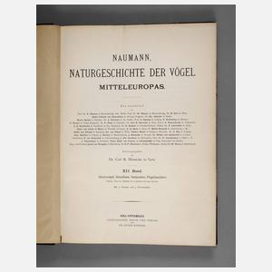 Naumann, Naturgeschichte
