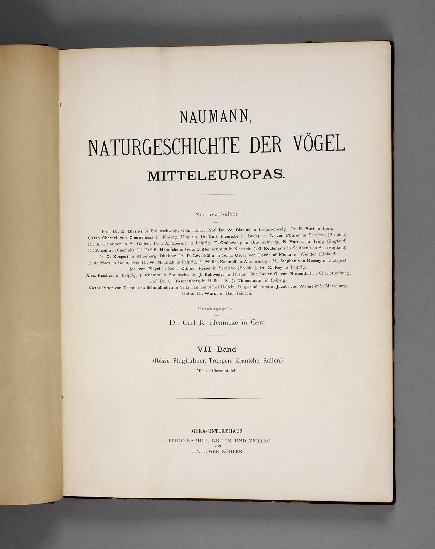 Naumann, Naturgeschichte
