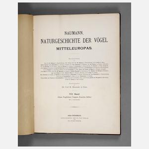 Naumann, Naturgeschichte