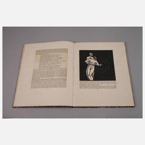 Dante, Das Neue Leben