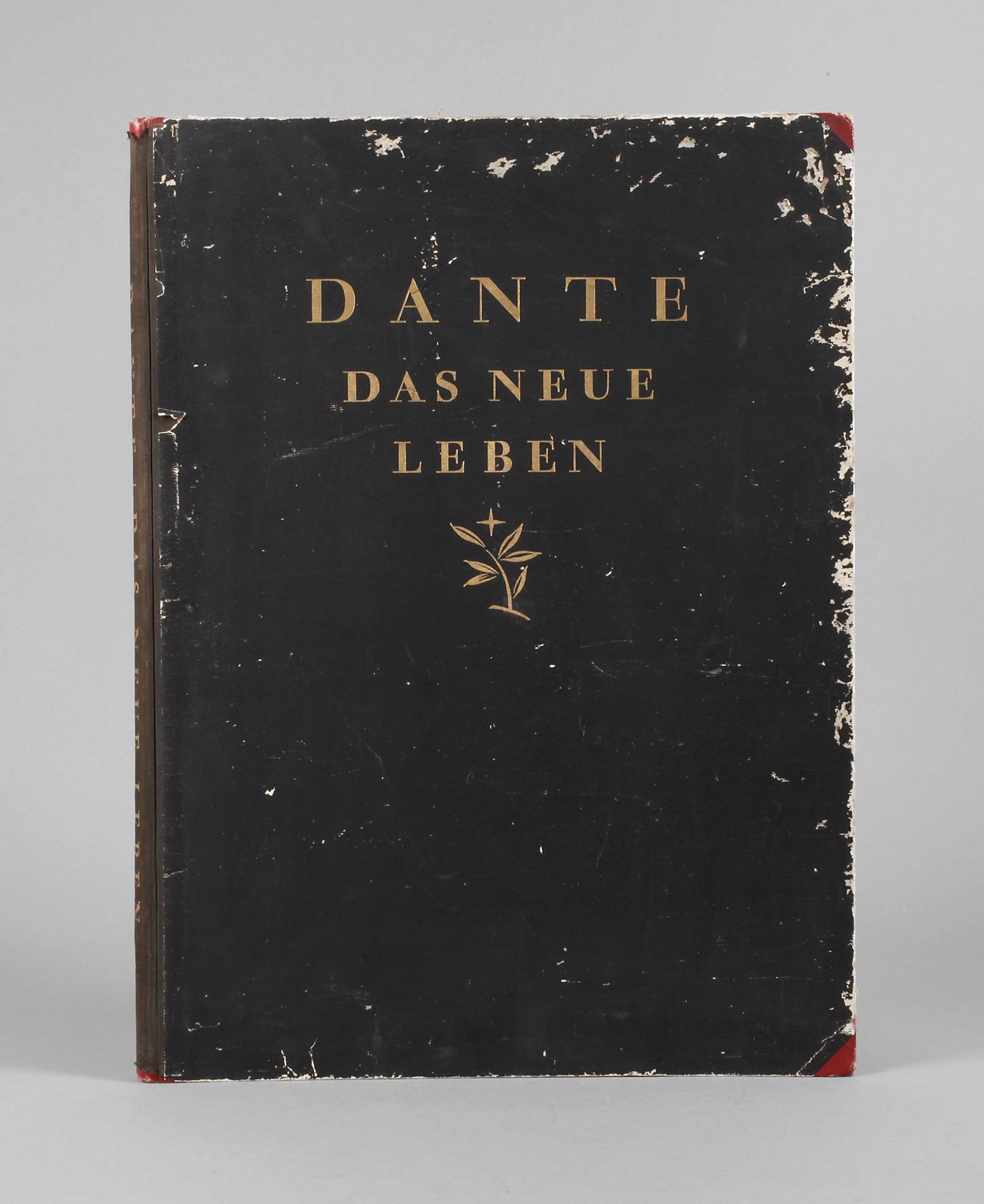 Dante, Das Neue Leben