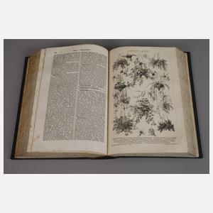 Brockhaus Conversations-Lexikon