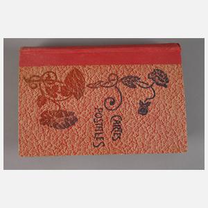 Ansichtskartenalbum Frankreich